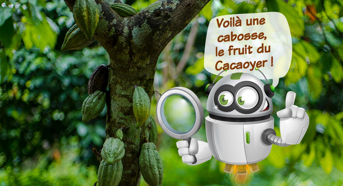 chasse aux oeufs pour pâques à télécharger gratuitement et à imprimer PDF
